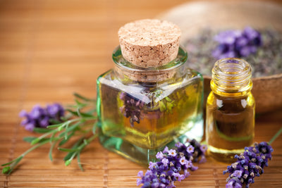 French Lavender Imported Oil